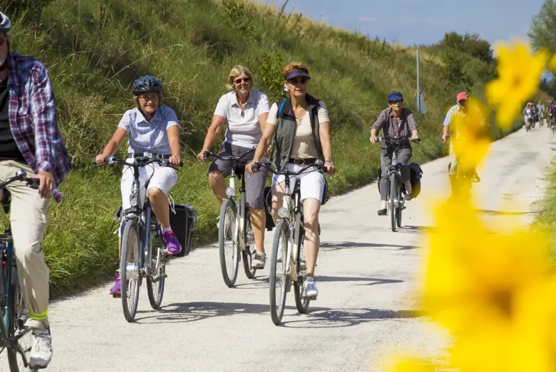 eine Gruppe Radfahrer radelt im Sonnenschein auf einem asphaltierten Wirtschaftsweg an einer Wiesenböschung entlang