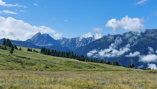 Blick über eine Alm, im Hintergrund die Dolomiten