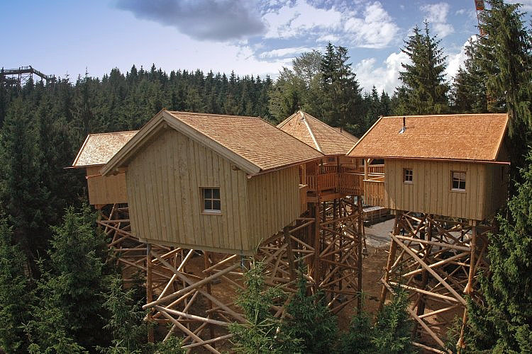 Mehrere hölzerne Hütten auf hohen Stelzen im Wald