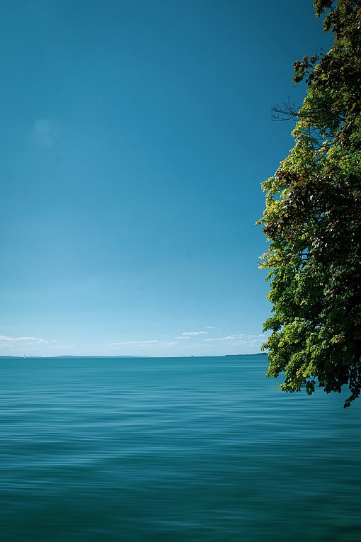 Ruhiges Wasser, am rechten Rand ragt ein Baum ins Bild; ansonsten nur blaues Wasser und blauer Horizont