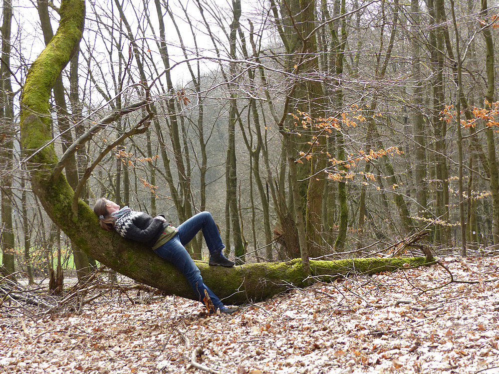 Person liegt im Wald auf Baum und ruht sich aus