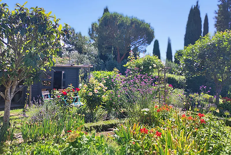 Blick in einen Garten mit Blumen, Büschen und Bäumen