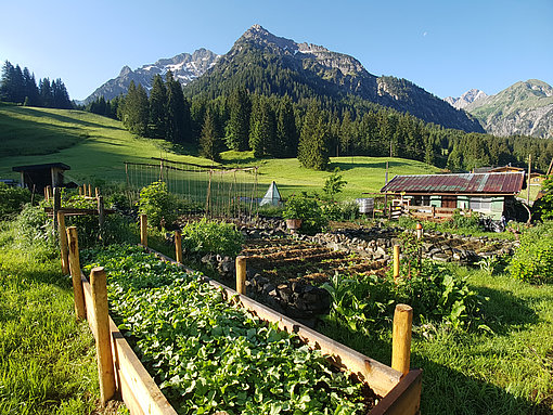 Ein Garten mit Gebirge im Hintergrund