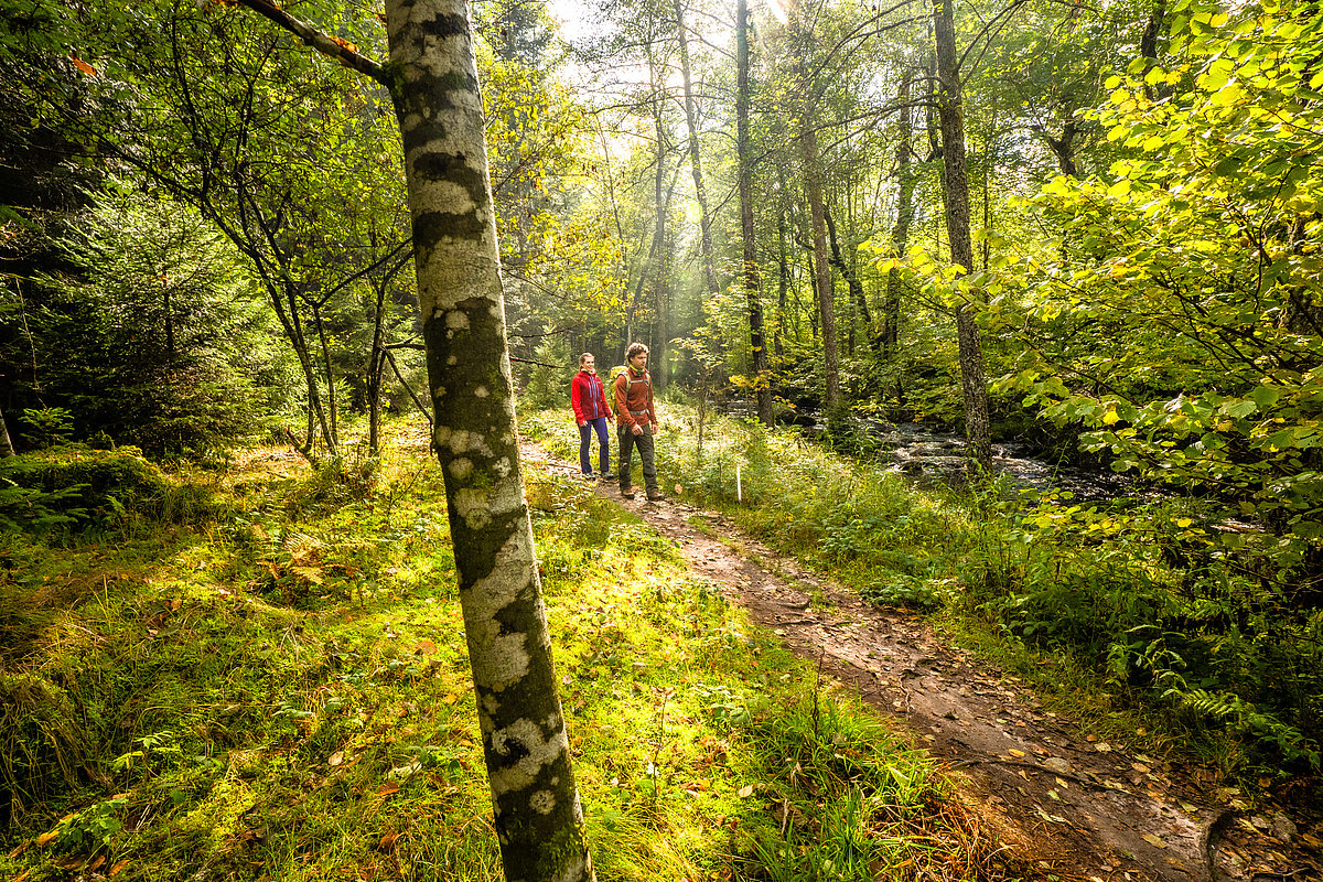 Ein Mann und eine Frau wandern auf einem Waldweg an einem Bach entlang
