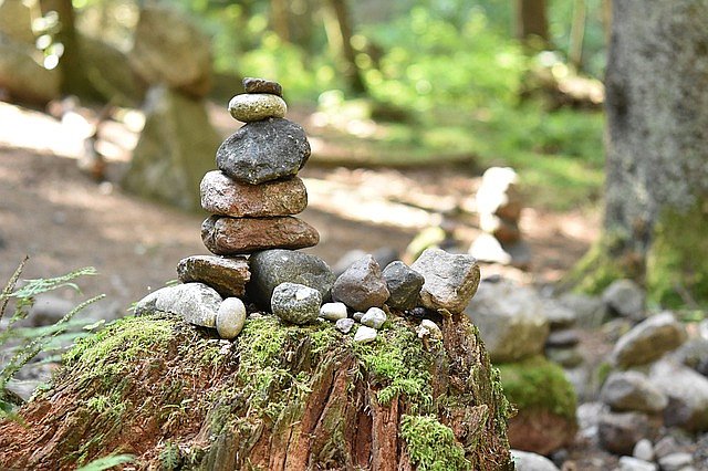 Geschichtete Steine auf einem Baumstumpf im Wald