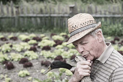 Ein älterer Mann mit Hut küsst eine Ente auf den Kopf