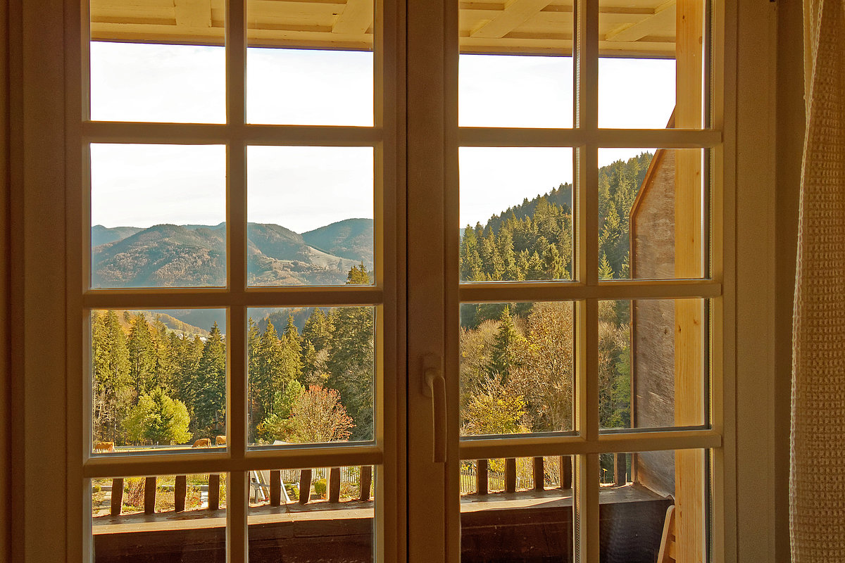 Fenster mit Balkon und Blick auf Wald und Berge