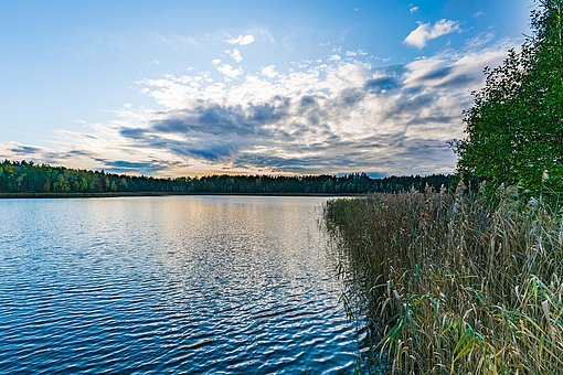 Weiter Blick auf einen See in der Uckermark