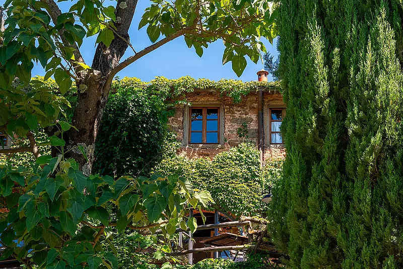 Blick zwischen Bäumen hindurch auf ein Steinhaus