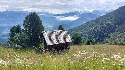 Eine kleine Hütte auf einer blühenden Bergwiese