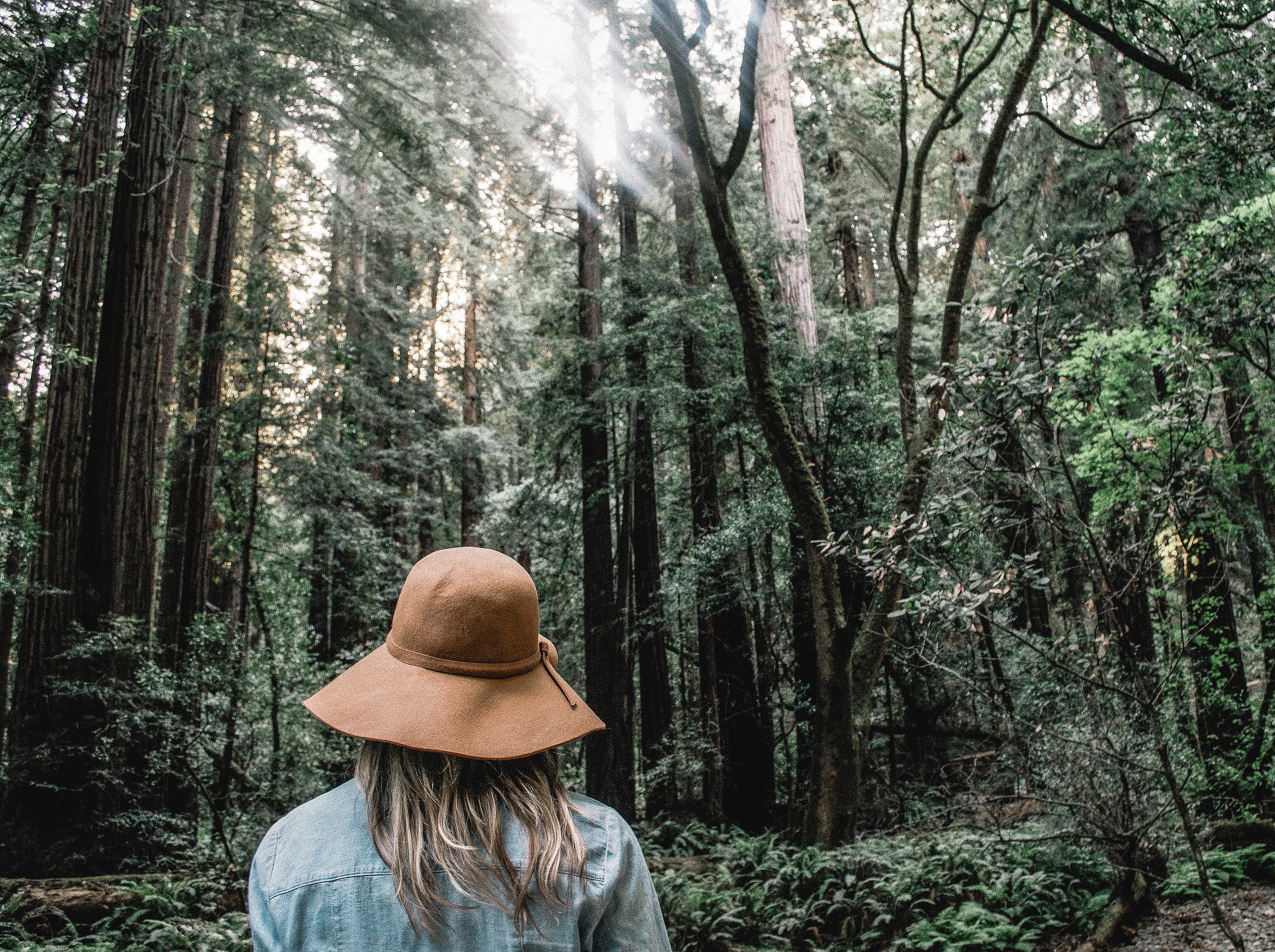 Eine Frau mit Hut blickt in den Wald