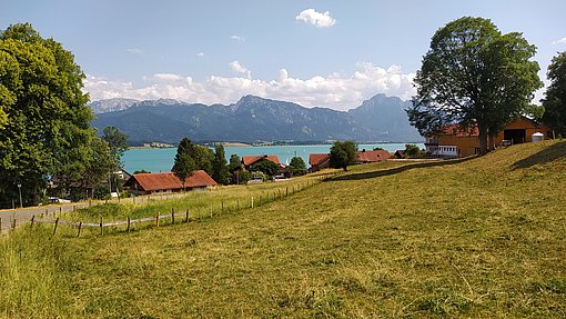 Blick auf den Forgenssee, im Hintergrund die Alpen