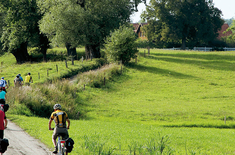 Viele Radfahrende fahren entlang eines Feldweges durchs Grün.