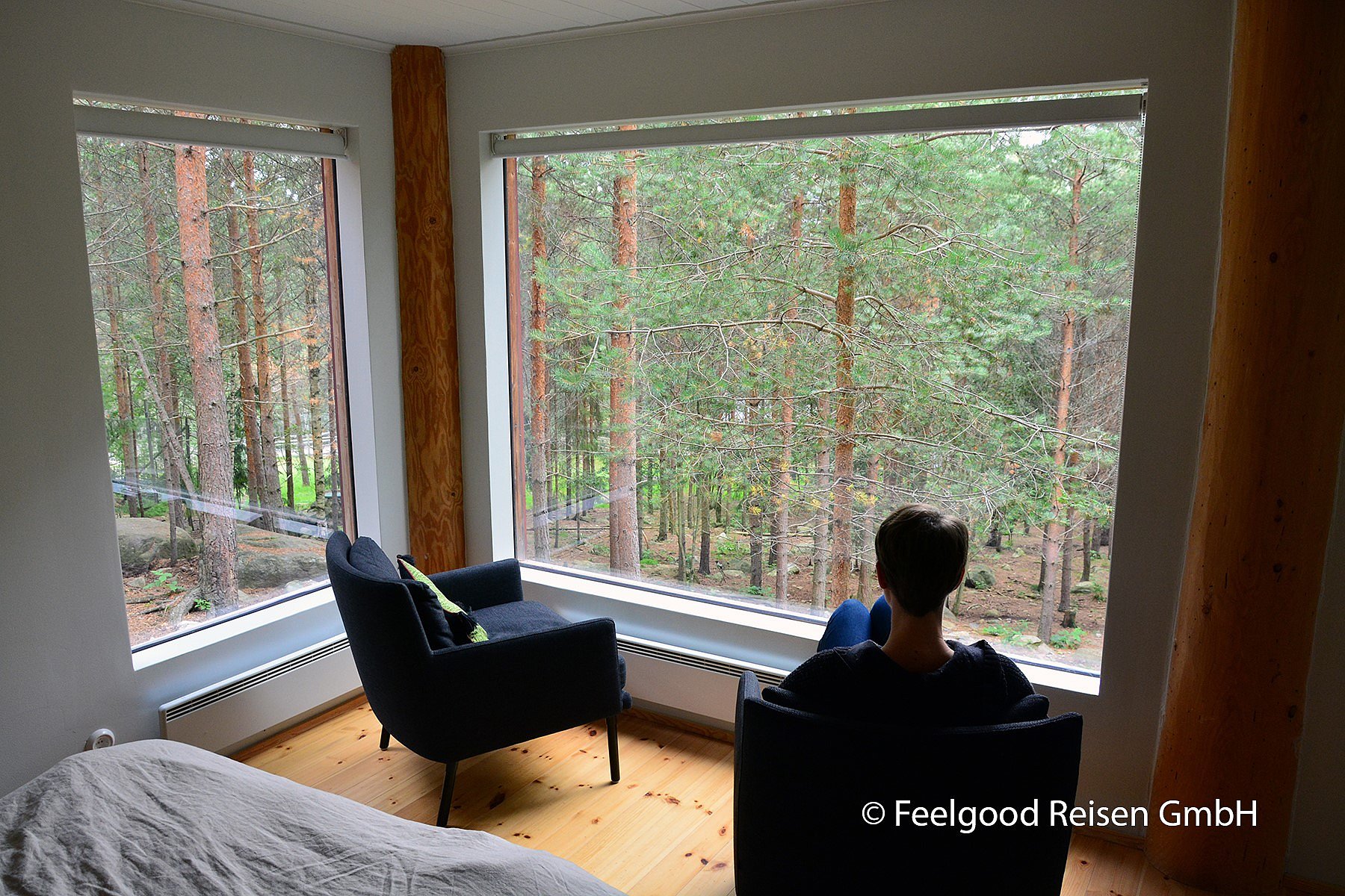 Eine Frau sitzt auf einem Sessel und blick durch ein großes Fenster in den direkt angrenzenden Wald