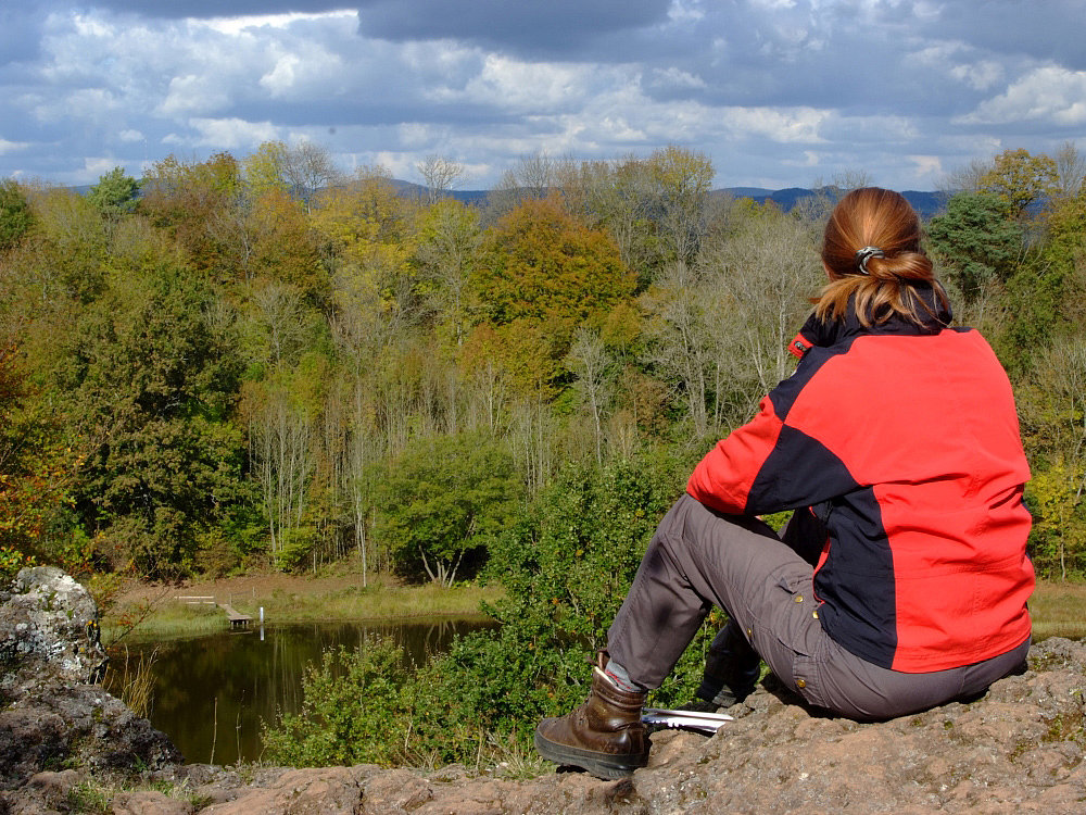 Eine Frau sitzt auf einem Stein und schaut über einen Wald