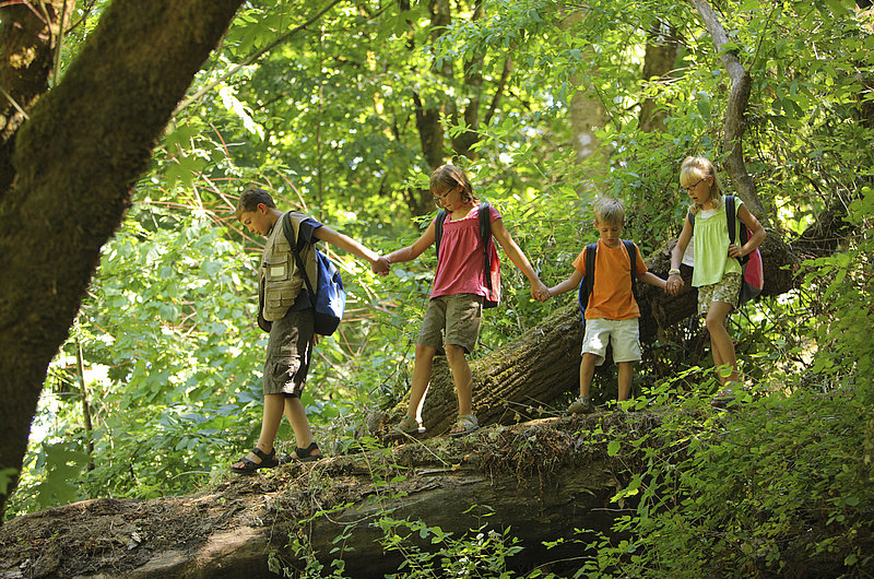 Vier Kinder halten sich an den Händen, während sie durch einen Wald wandern