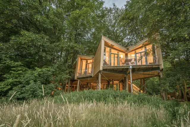 Im Wald sind mehrere beleuchtete Baumhäuser mit Terrasse zu sehen