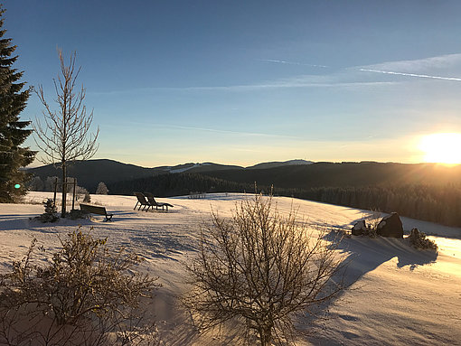 Eine Schneelandschaft bei tief stehender Sonne