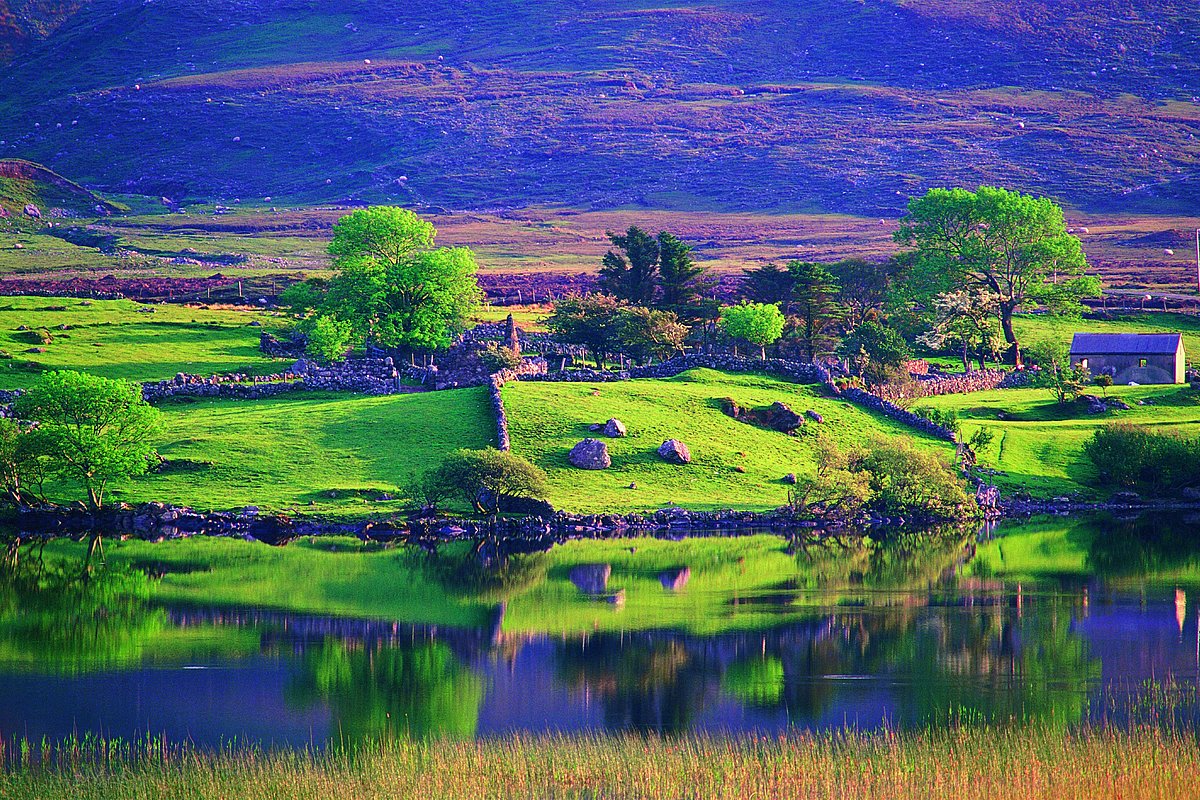 Ansicht einer typisch irischen Landschaft mit Wasser, grünen Wiesen und Bäumen