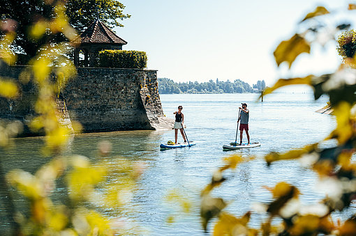 Zwei Menschen auf Stand Up Paddleboards am Bodensee, im Vordergrund verhängen Blätter etwas die Sicht.