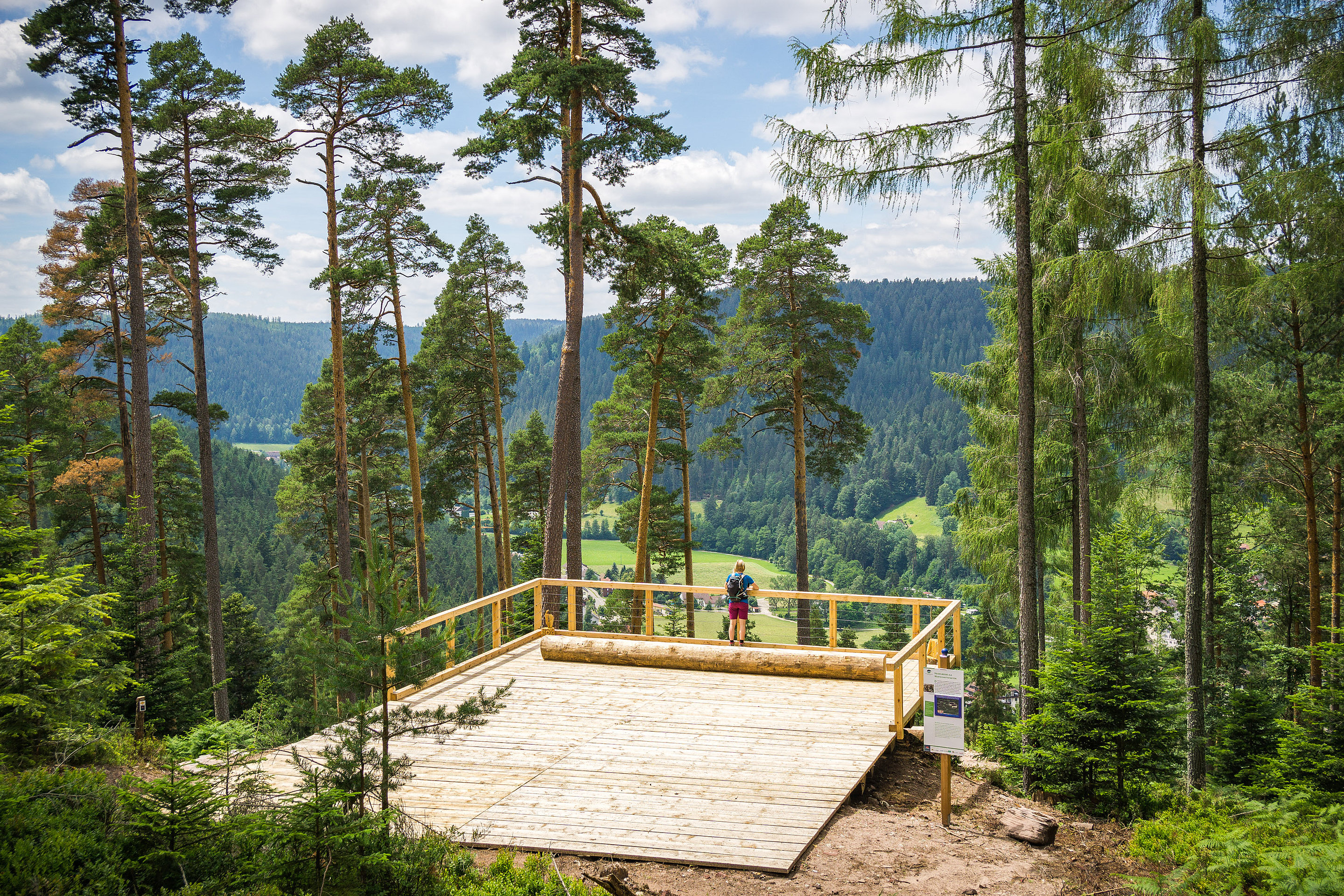 Holzplattform mit Ausblick auf Wiesen und bewaldete Schwarzwaldhügel